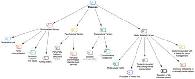 Communication dynamics and media interactions of young adults who have attempted suicide: a qualitative thematic analysis